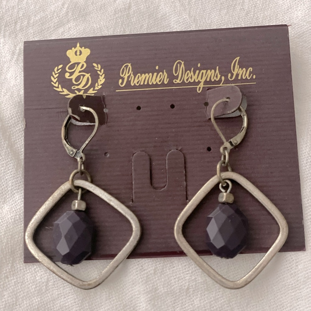 Premier Designs Euro Wire Earrings